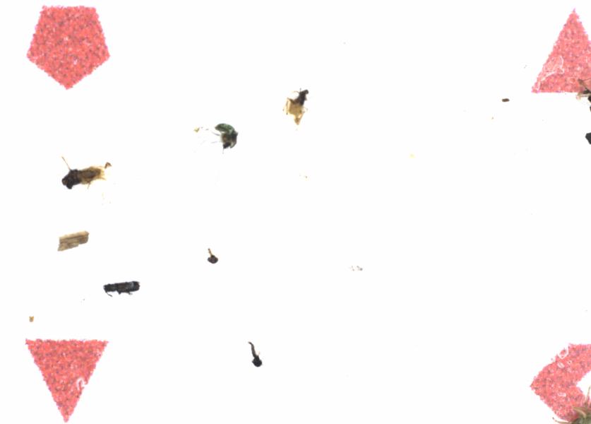 Fullscreen Image