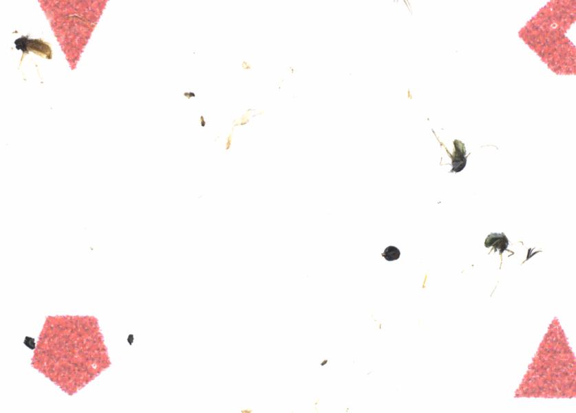 Fullscreen Image
