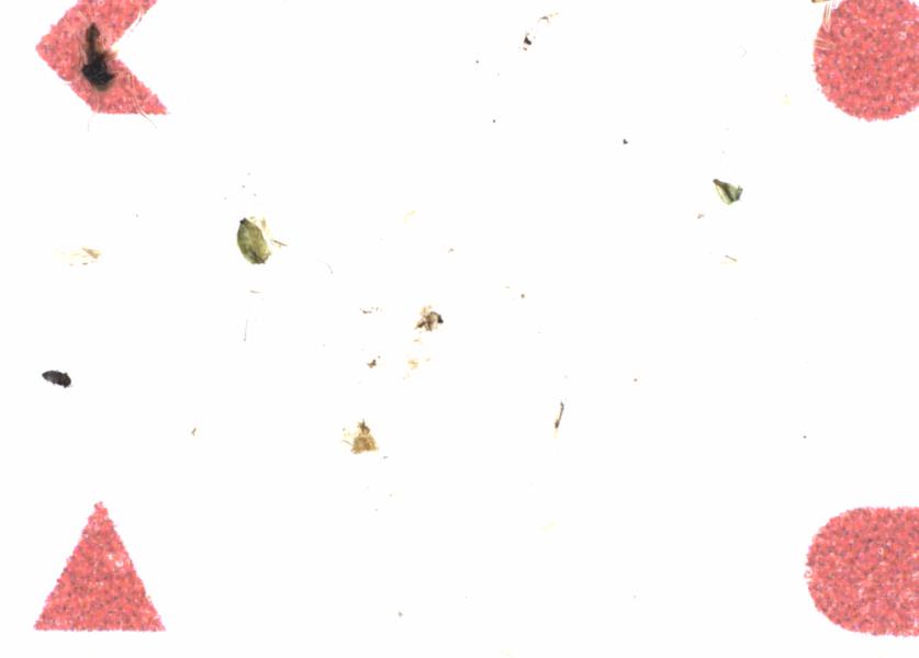 Fullscreen Image