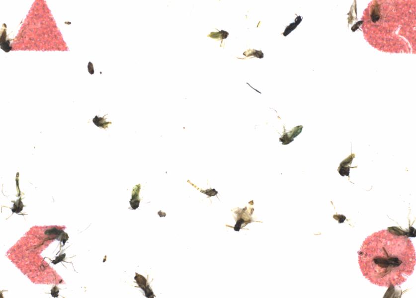 Fullscreen Image