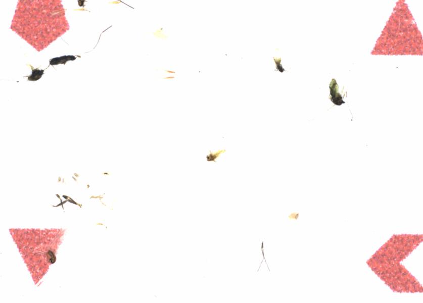 Fullscreen Image