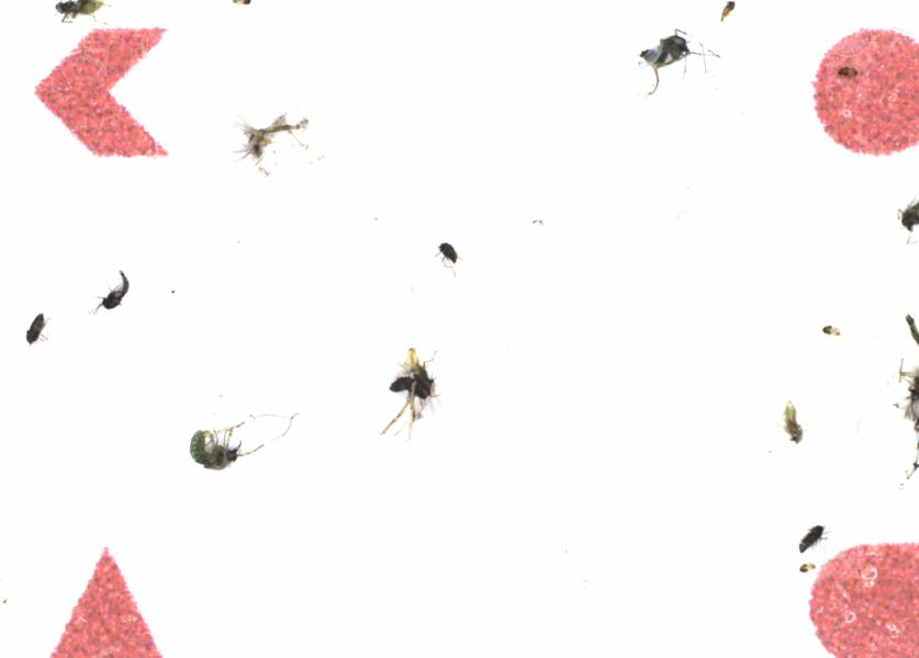 Fullscreen Image