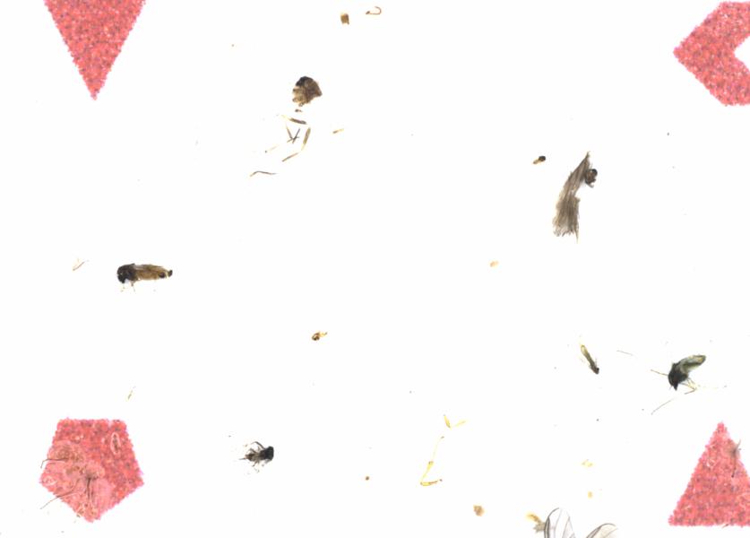 Fullscreen Image