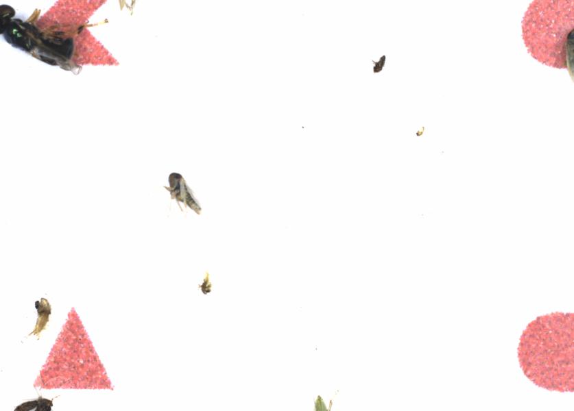 Fullscreen Image