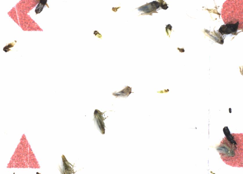 Fullscreen Image