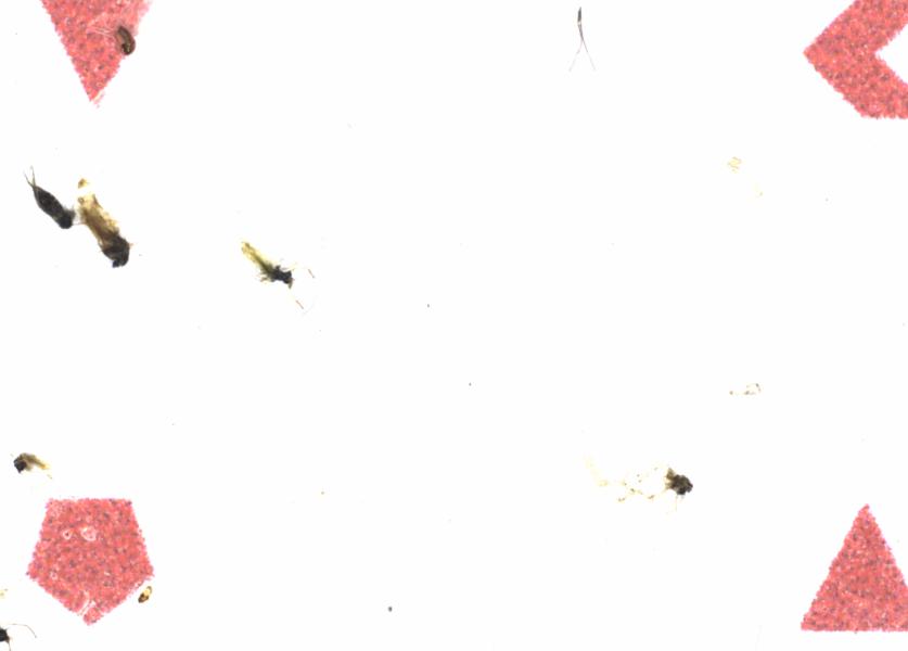 Fullscreen Image