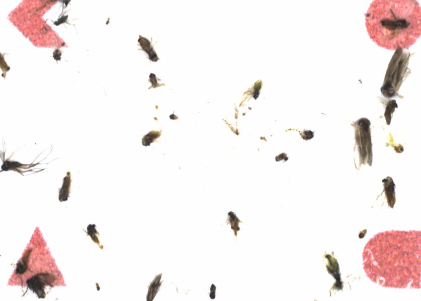 Fullscreen Image