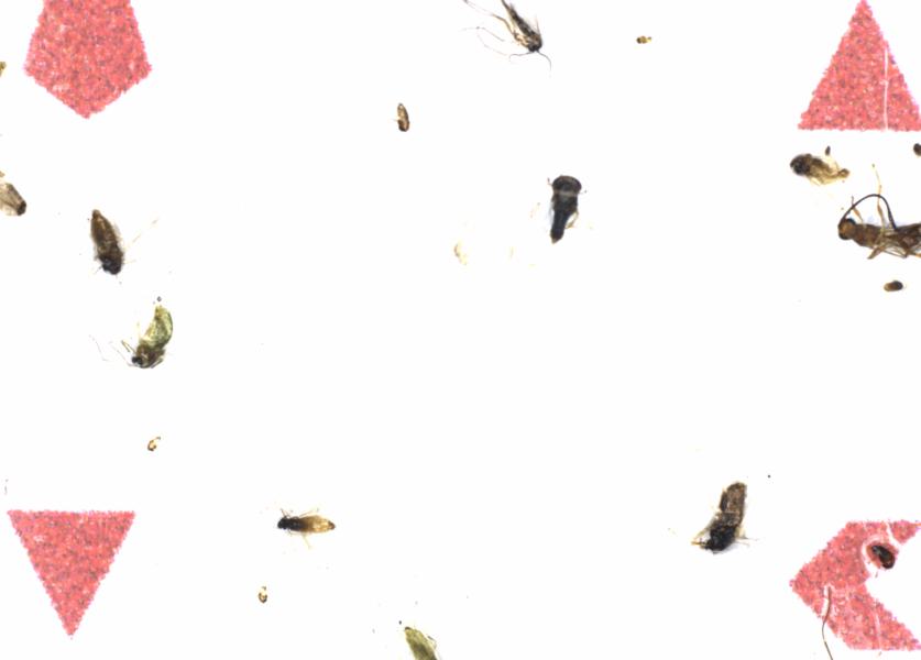 Fullscreen Image