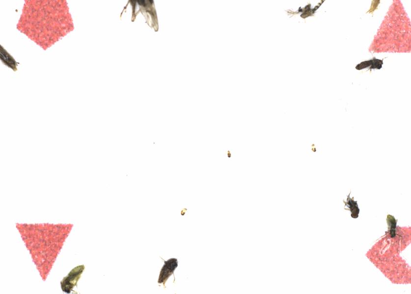 Fullscreen Image