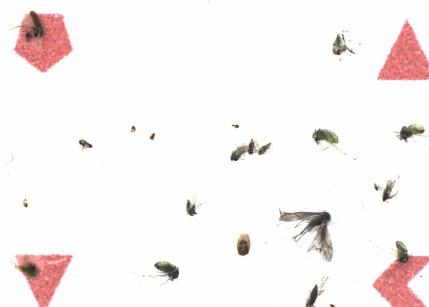 Fullscreen Image