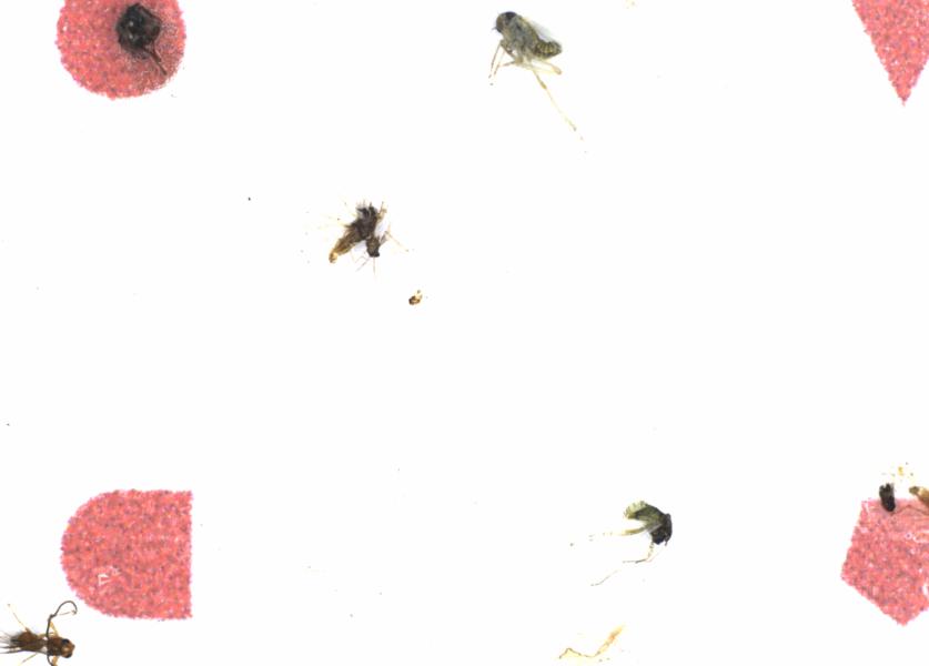 Fullscreen Image