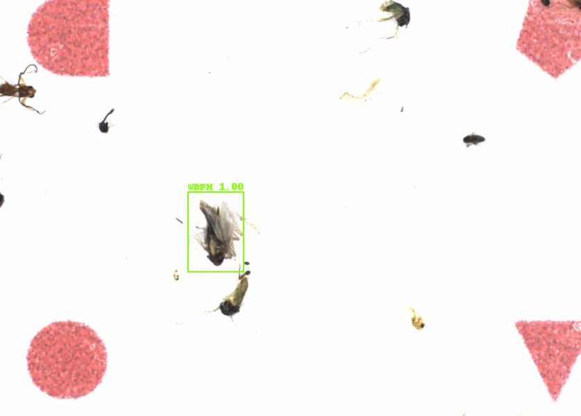 Fullscreen Image