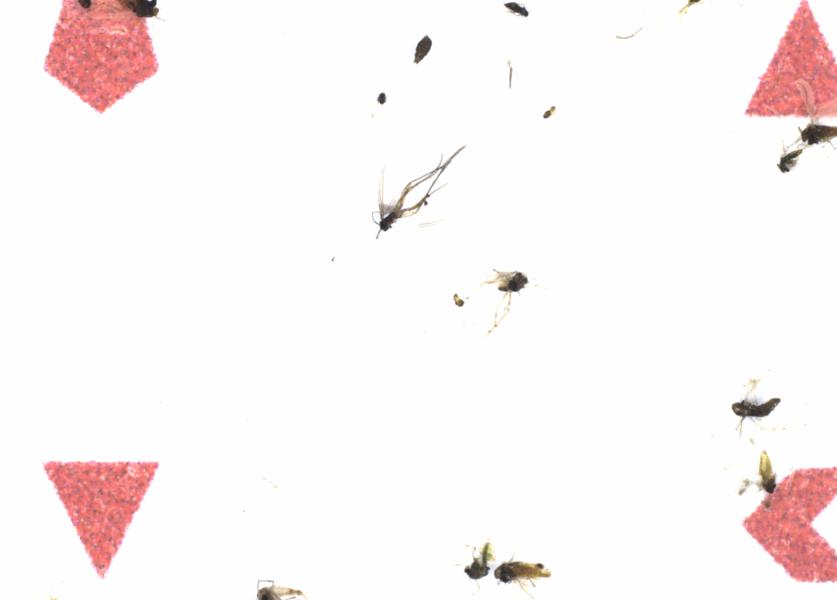Fullscreen Image