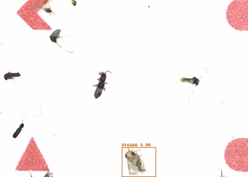 Fullscreen Image