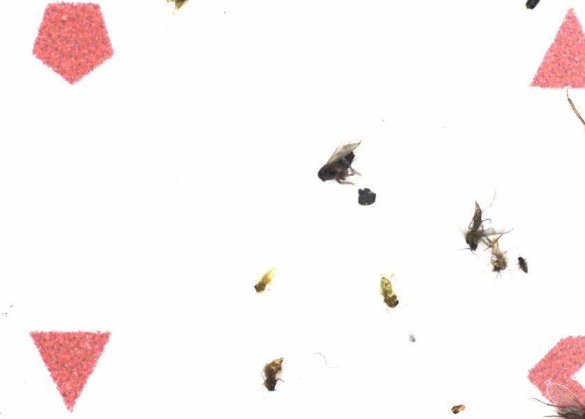 Fullscreen Image