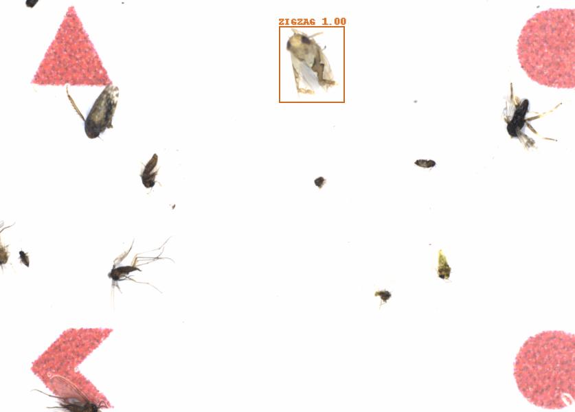 Fullscreen Image