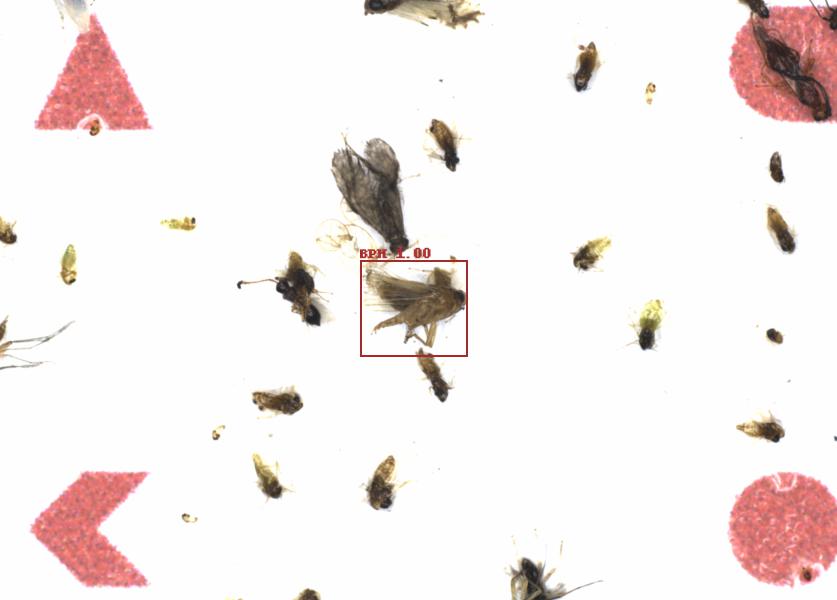 Fullscreen Image