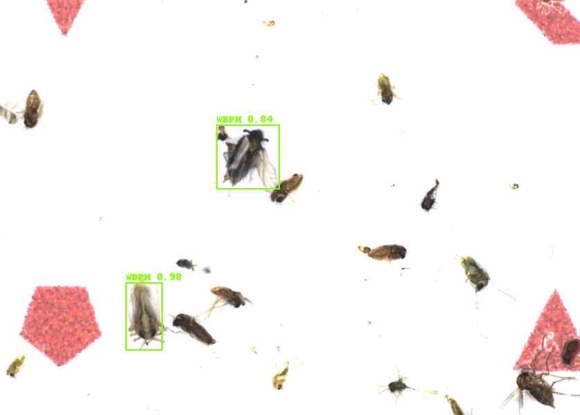 Fullscreen Image