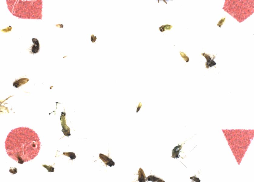 Fullscreen Image