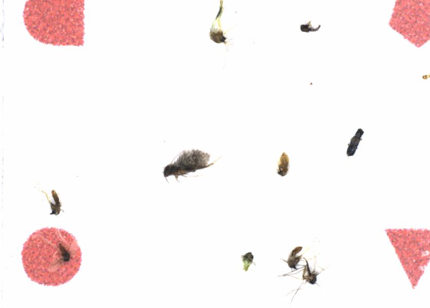 Fullscreen Image