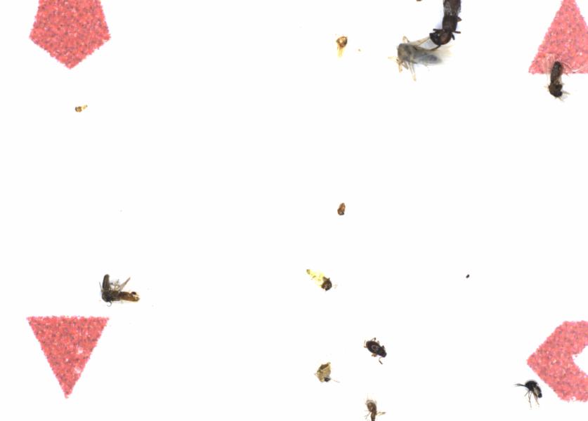 Fullscreen Image