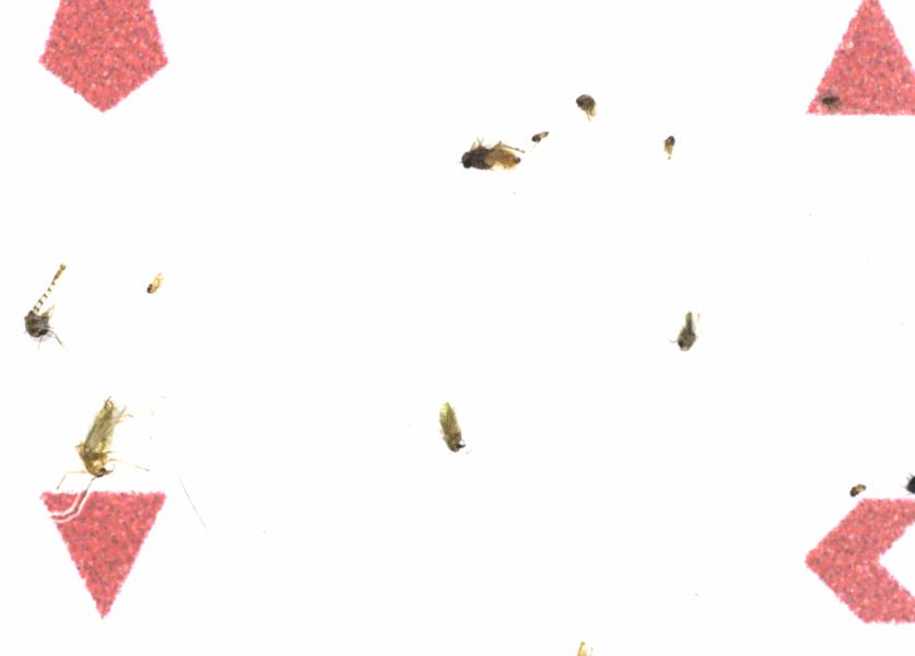 Fullscreen Image