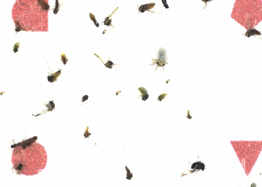 Fullscreen Image
