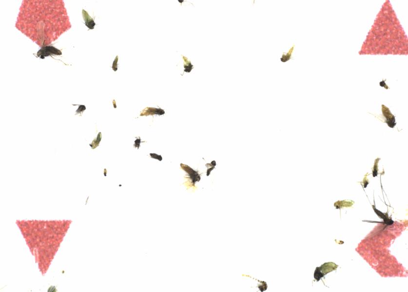 Fullscreen Image