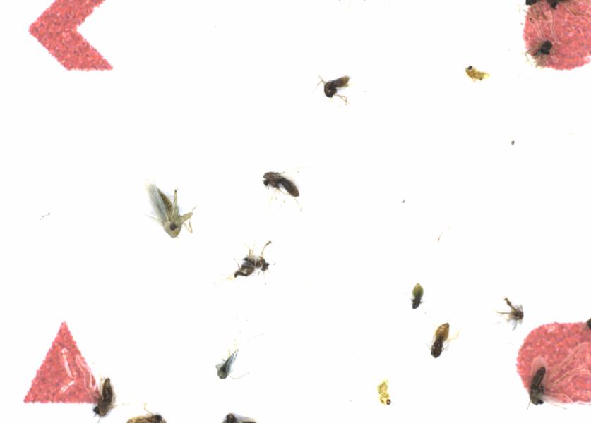 Fullscreen Image