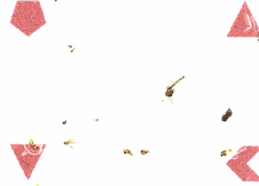Fullscreen Image