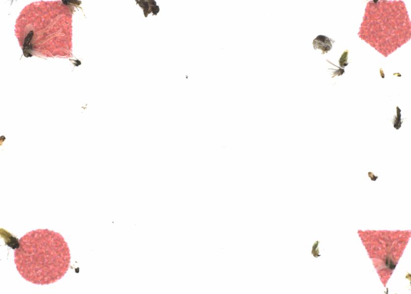 Fullscreen Image