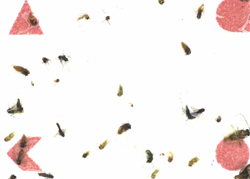 Fullscreen Image