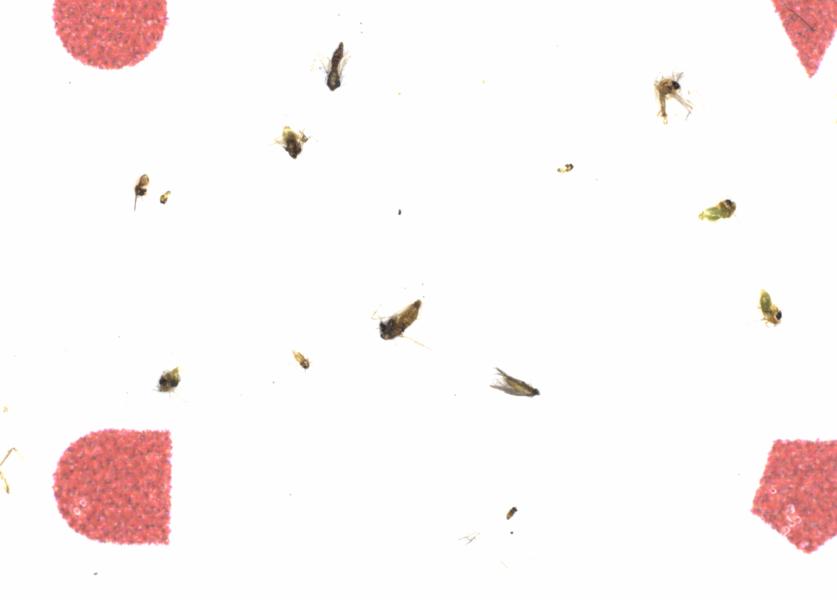 Fullscreen Image