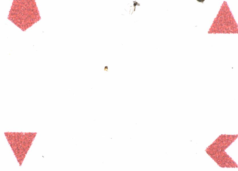 Fullscreen Image