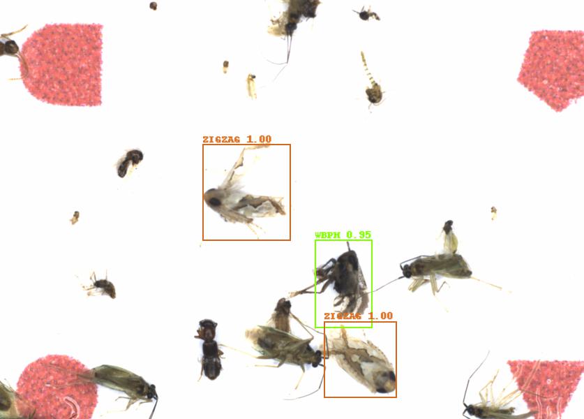 Fullscreen Image