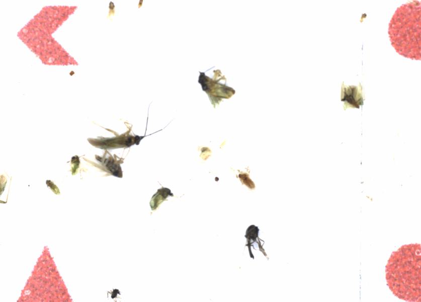 Fullscreen Image