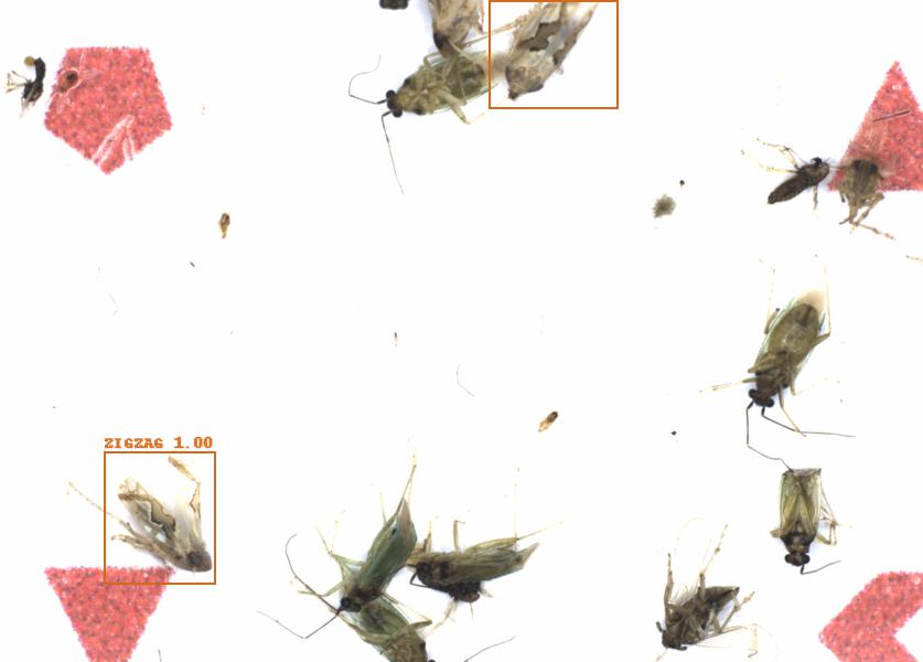 Fullscreen Image