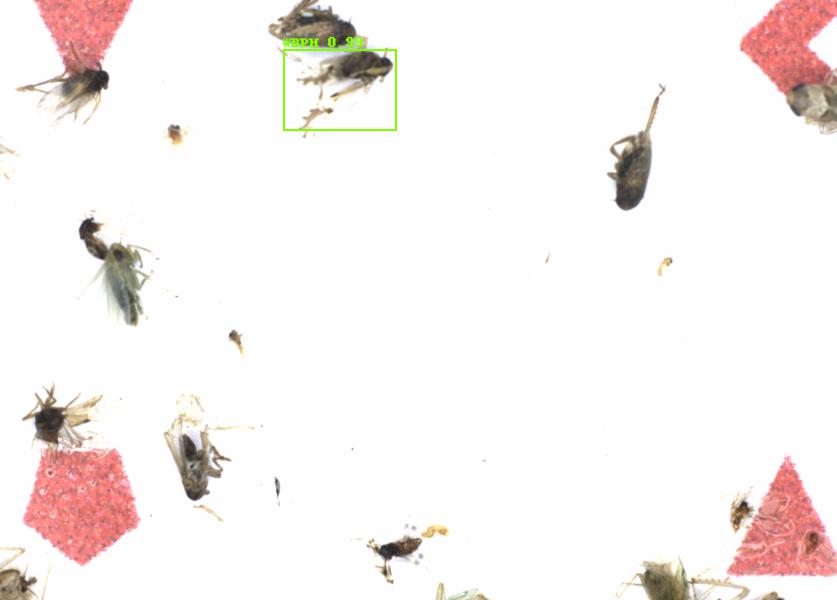 Fullscreen Image