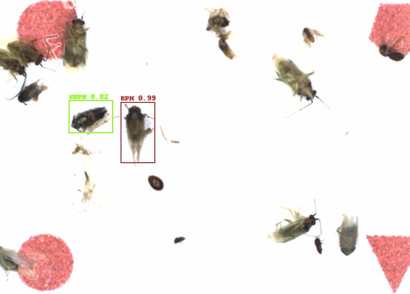 Fullscreen Image