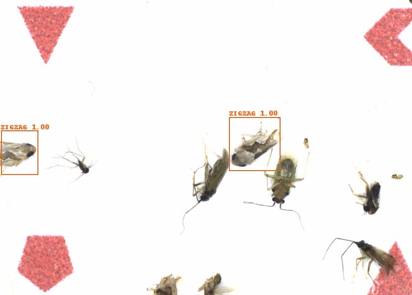 Fullscreen Image
