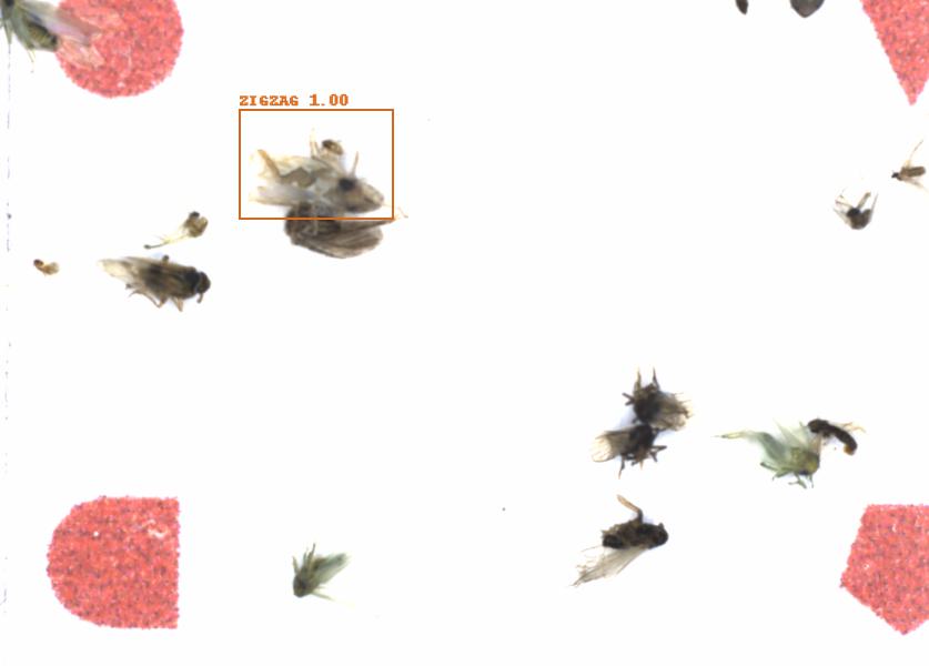 Fullscreen Image