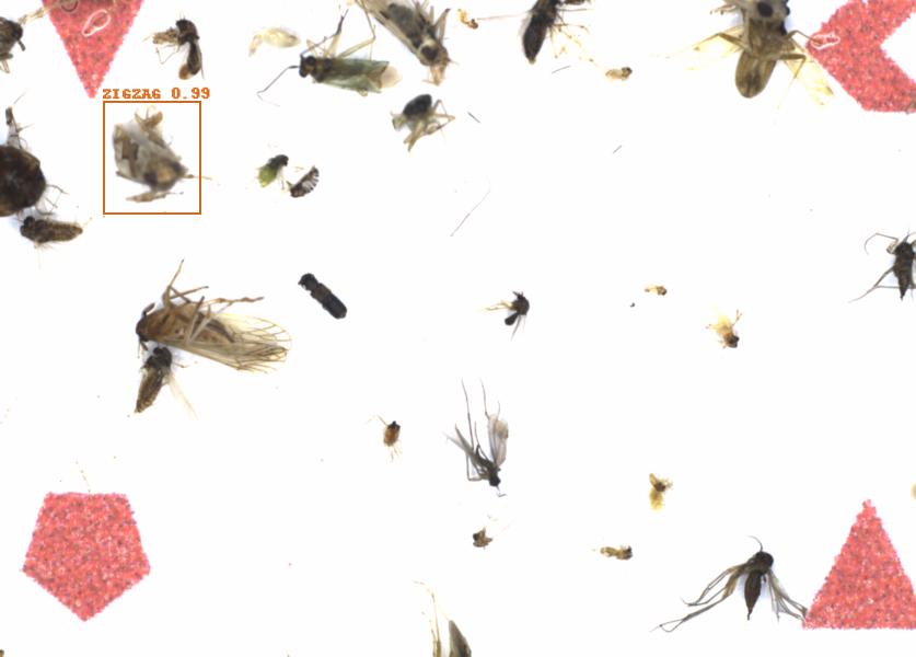 Fullscreen Image