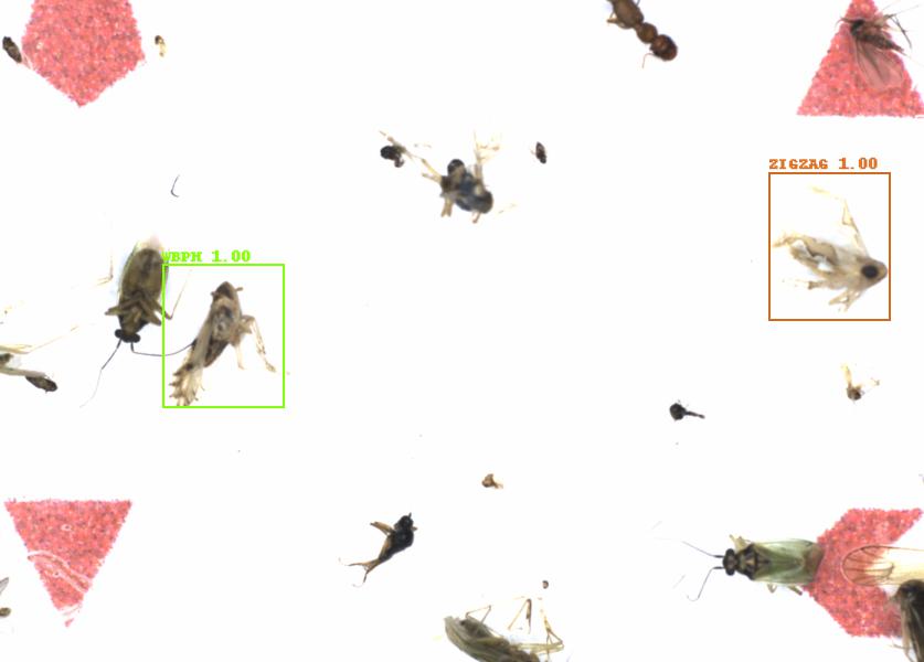 Fullscreen Image