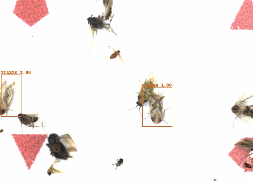 Fullscreen Image