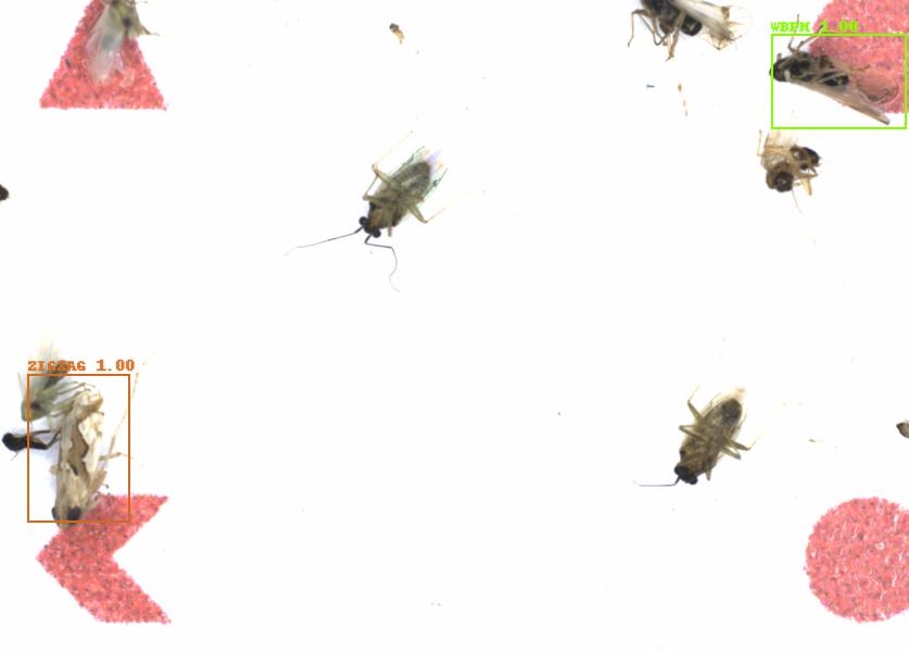 Fullscreen Image