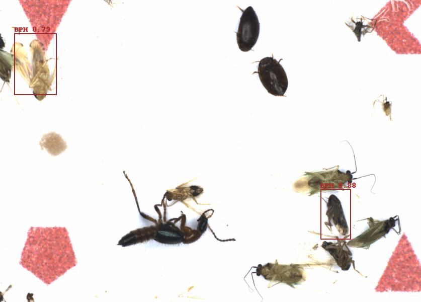 Fullscreen Image