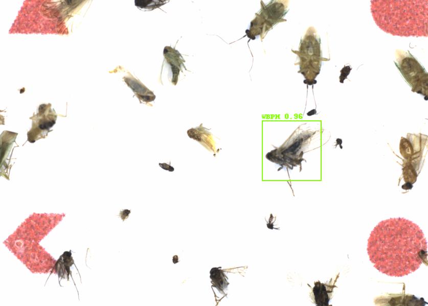 Fullscreen Image