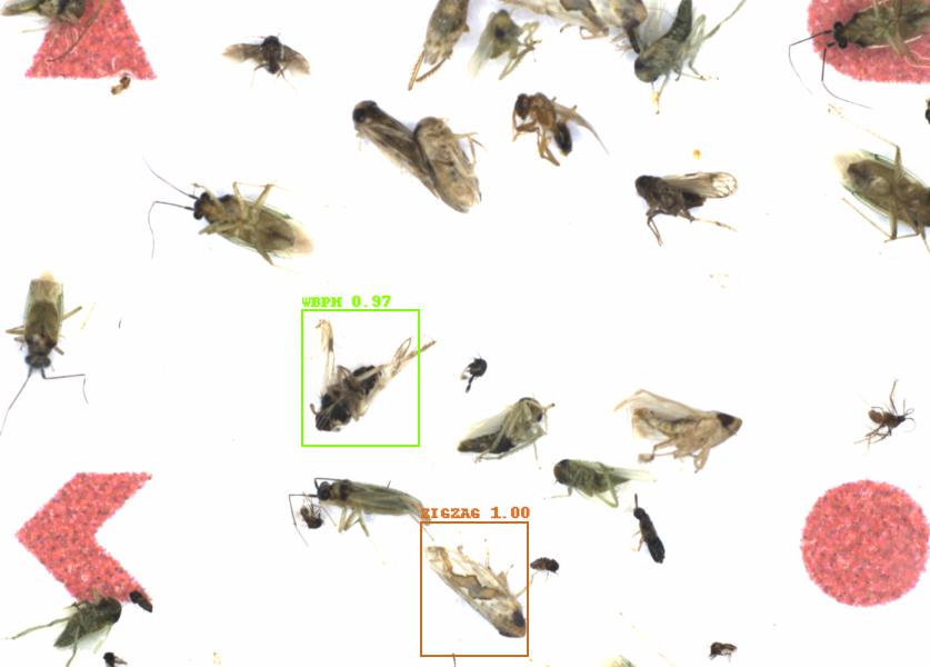Fullscreen Image