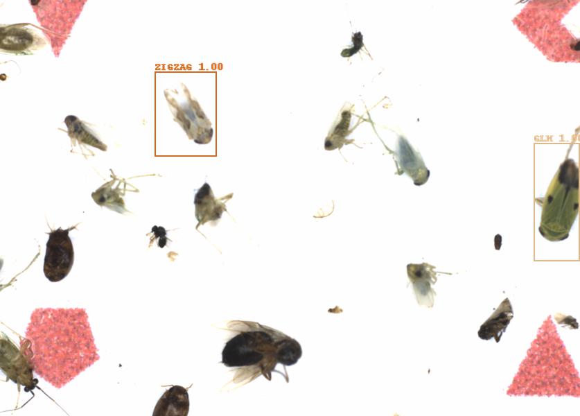 Fullscreen Image