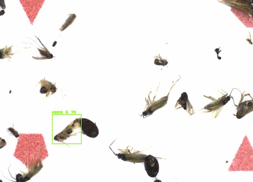 Fullscreen Image